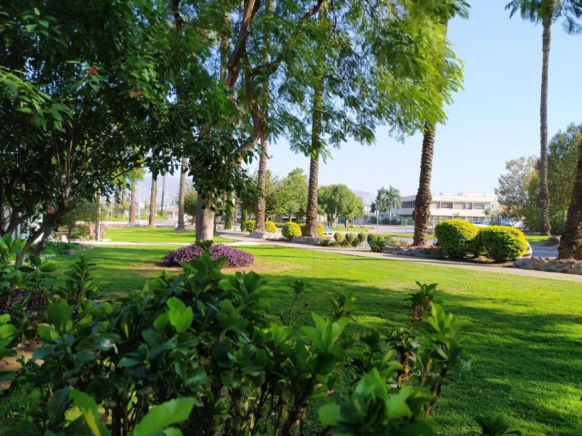 Degania Bet Kibbutz Country Lodging Hotel Kinneret Exterior photo